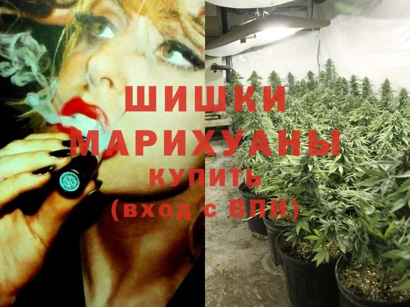 Марихуана White Widow  Губаха 